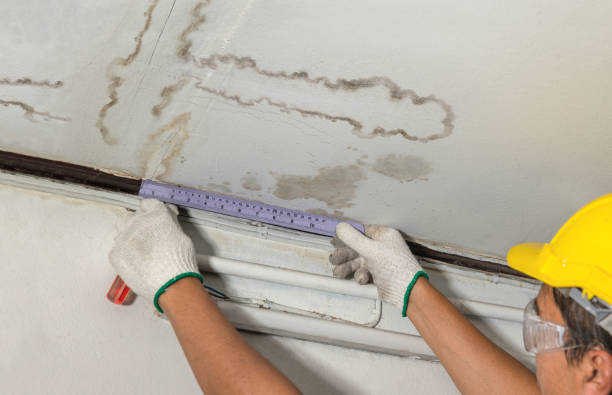 Reliable Emergency Water Damage Restoration contractor in Mount Pleasant, OH by Water Damage Irwin